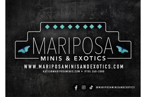 Mariposa Minis & Exotics