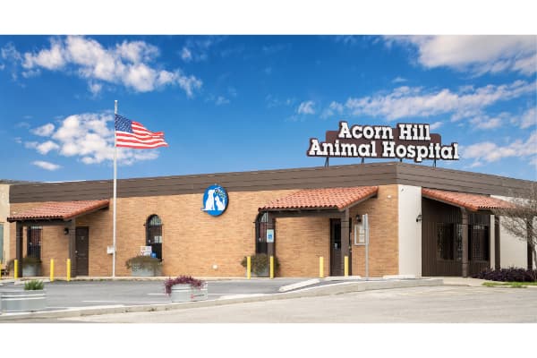 Acorn Hill Animal Hospital