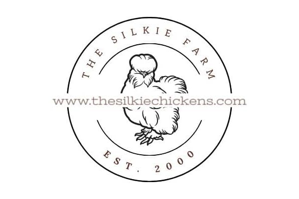 The Silkie Farm