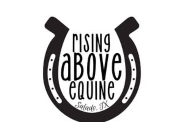 Rising Above Equine