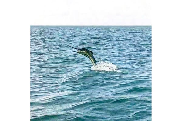 Laguna Atascosa Rod and Gun