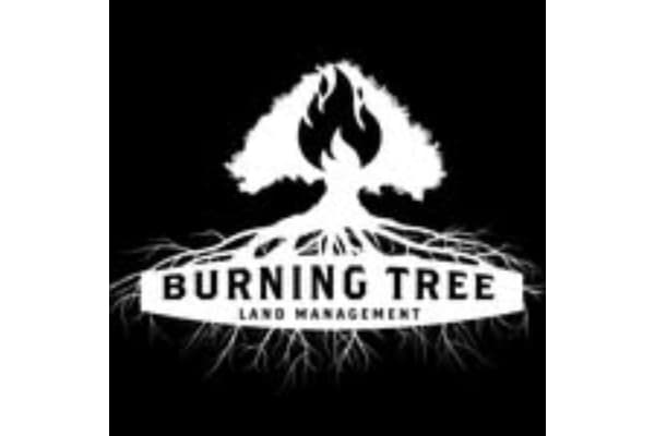 Burning Tree Land Management