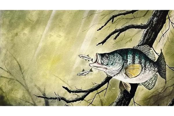 Dougs Bait Shop and wholesaler gallery 1