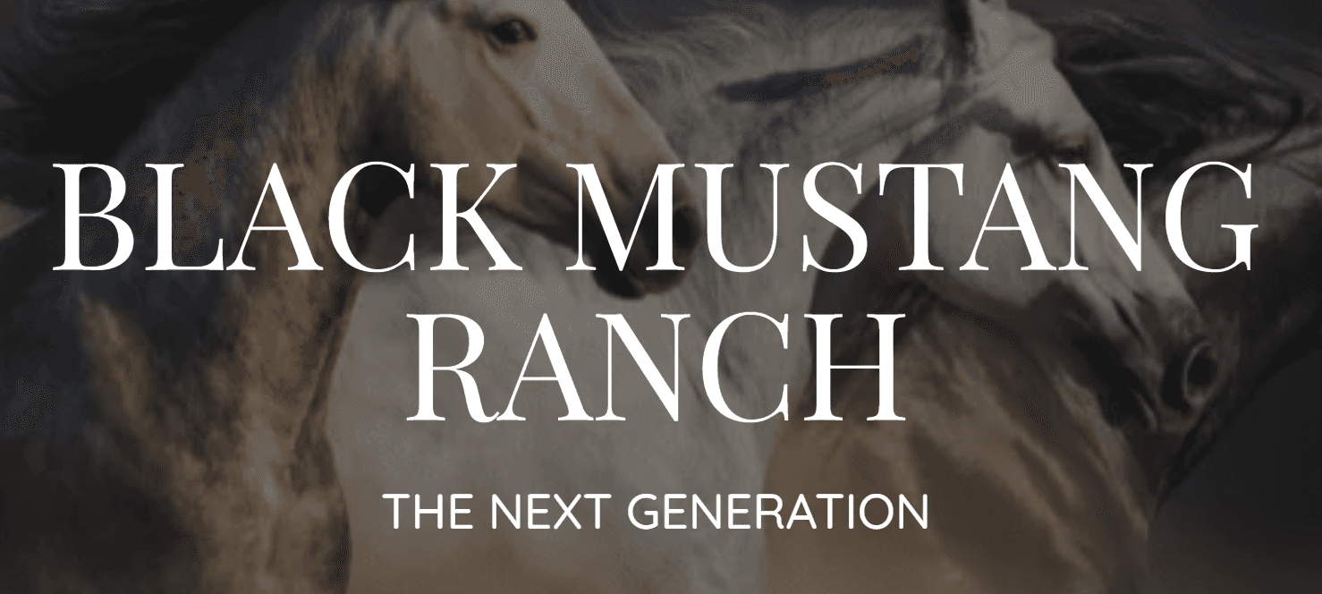 Black Mustang Ranch, LLC