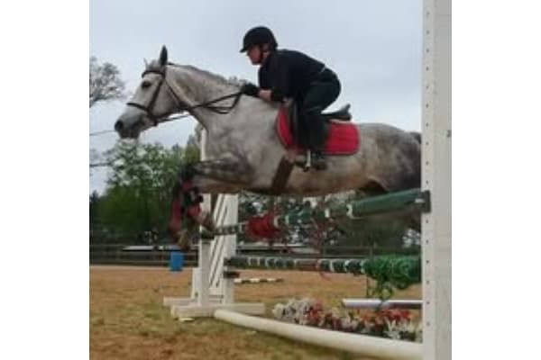 Triple Creek Ranch Etc