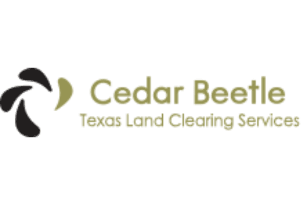 Cedar Beetle Land Clearing