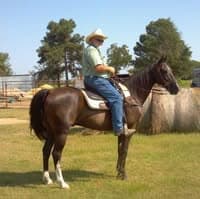 Texas Tower Ranch
