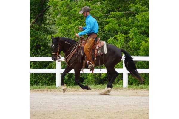 Colton Woods Horsemanship