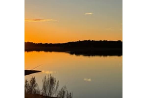 McWhorters Live Oak Lodge Bait Store