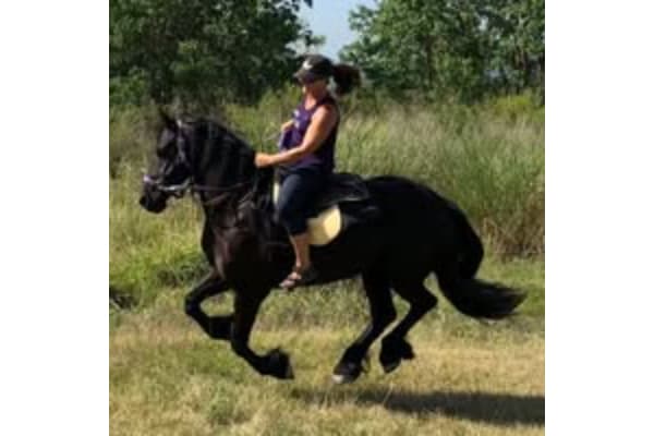 Unbridled Spirit LLC