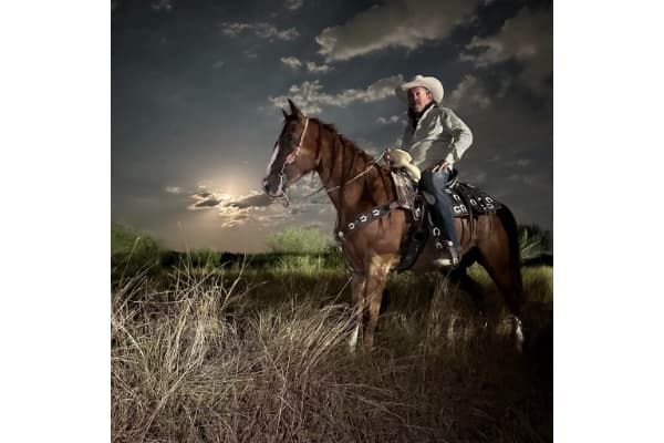 DLF Western Horse Training