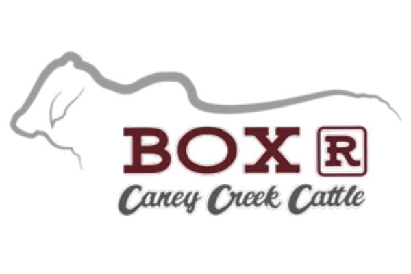 Box R Caney Creek Cattle