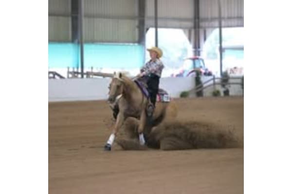 Foster Performance Horses