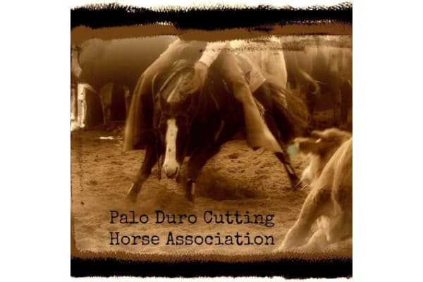 Palo Duro Cutting Horse Association