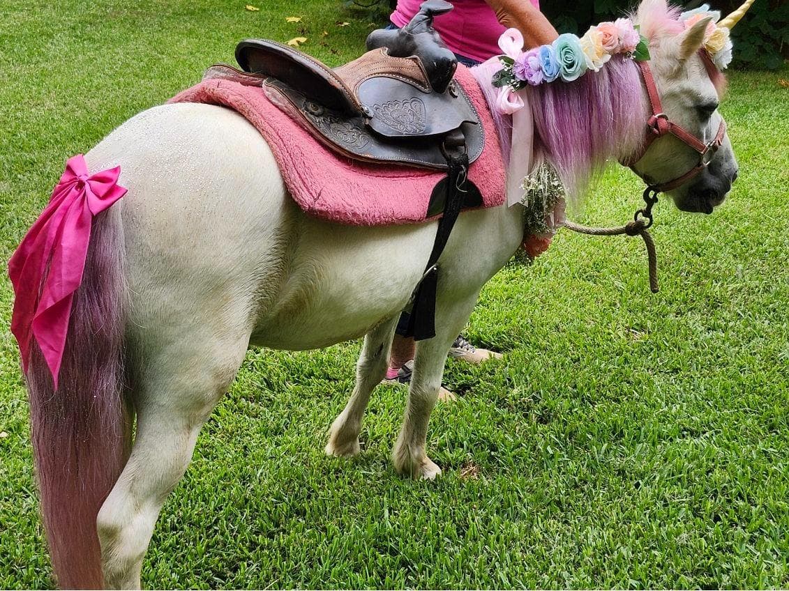 Pony Parties by Dawn