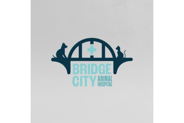 Bridge City Animal Hospital
