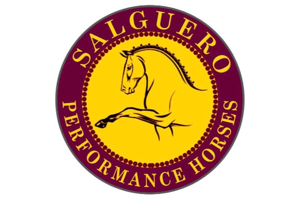 Salguero Performance Horses