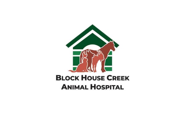 Block House Creek Animal Hospital