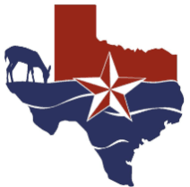 Let's Wet Texas - Lake Construction