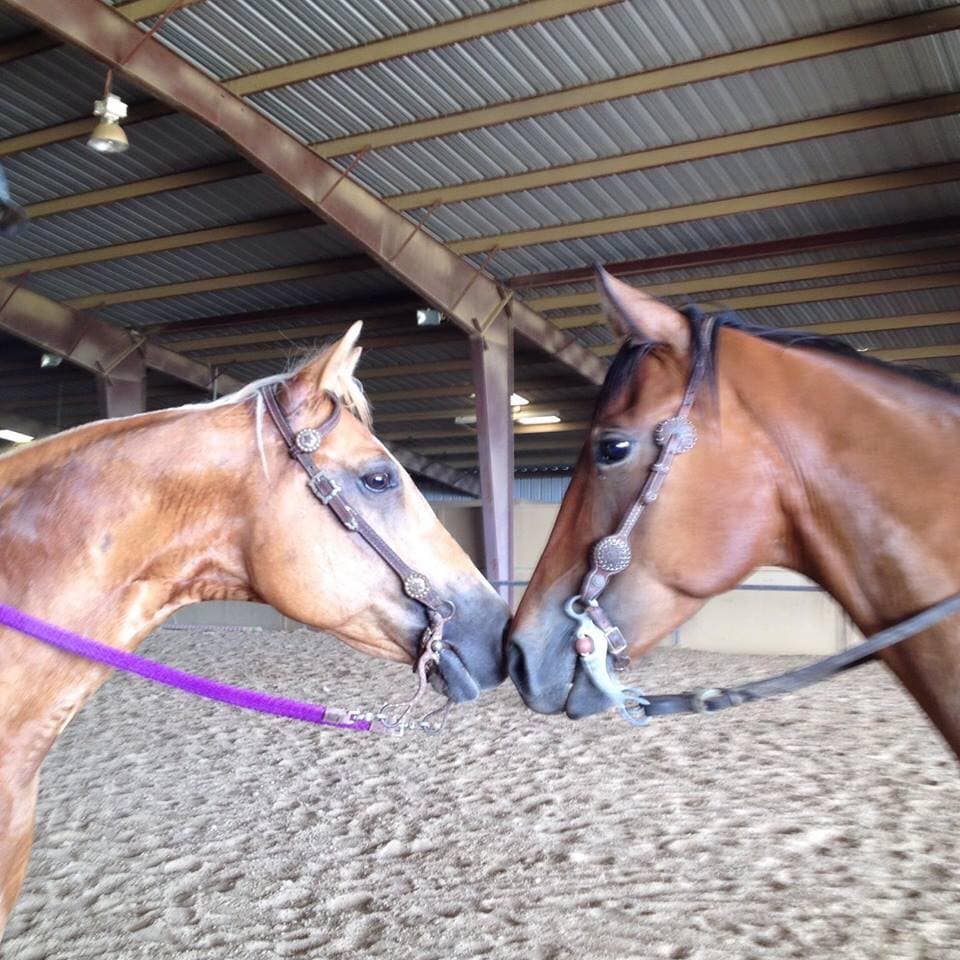 Capricorn Equestrian Center