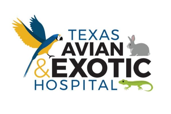 Texas Avian & Exotic Hospital