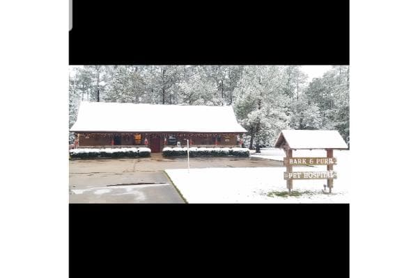 Bark & Purr Veterinary Clinic