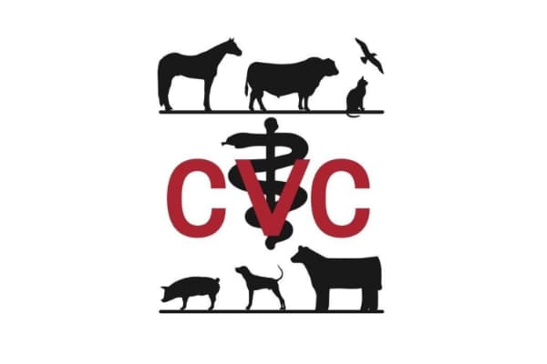 Chachere Veterinary Clinic PC