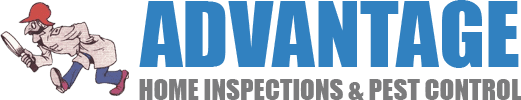 Advantage Home Inspections