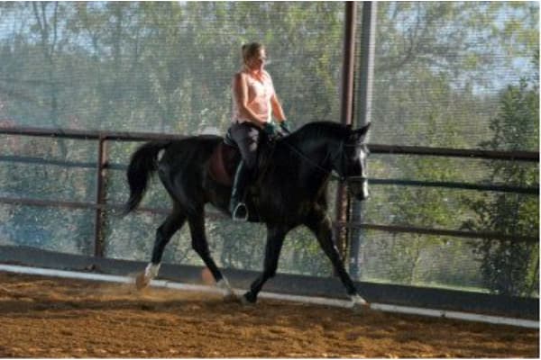 Adventures in Riding with Miss Julie