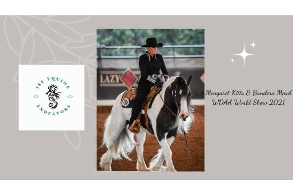 ISE Equine Endeavors