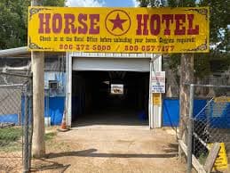 Big Texan Horse Hotel