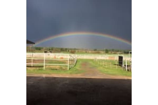 Rolling Ridge Stables