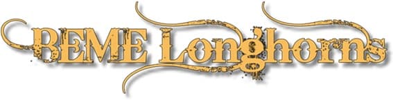 BEME Longhorns