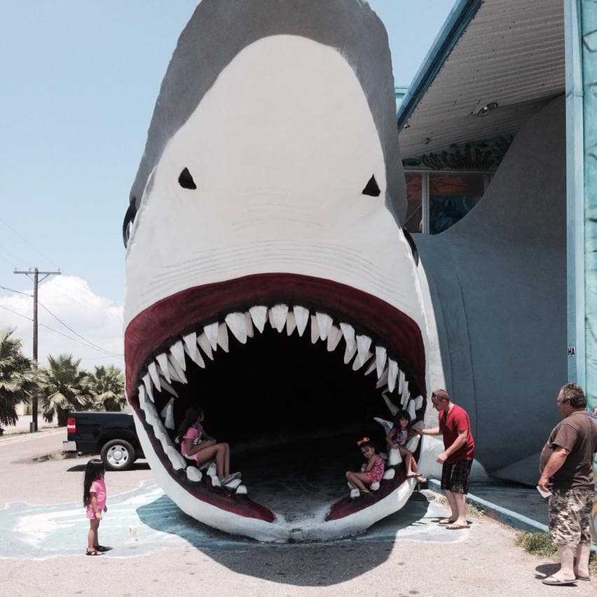 Destination Beach & Surf