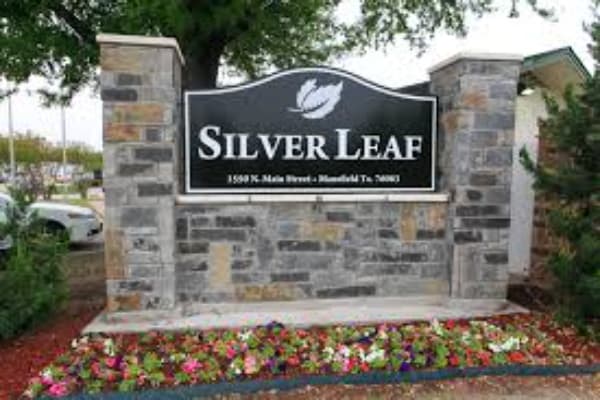 Silver Leaf