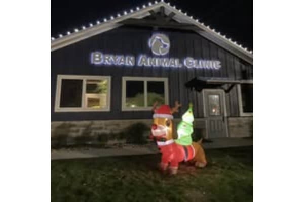 Bryan Animal Clinic