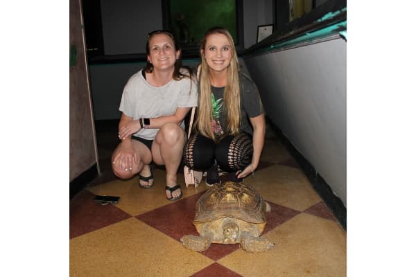 All Cypress Veterinary Hospital