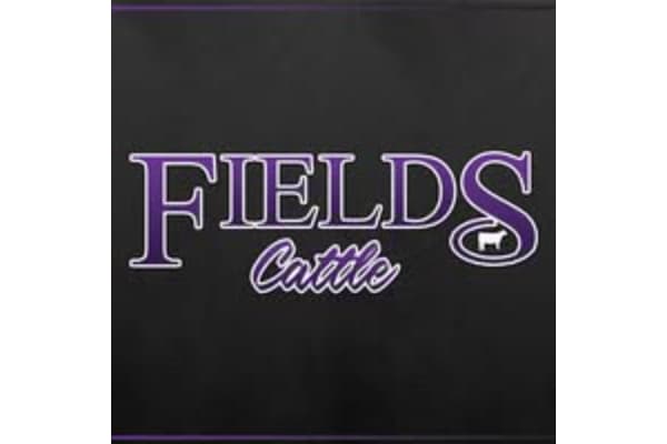Fields Cattle