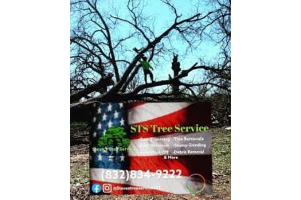 Rosenberg Tree Service