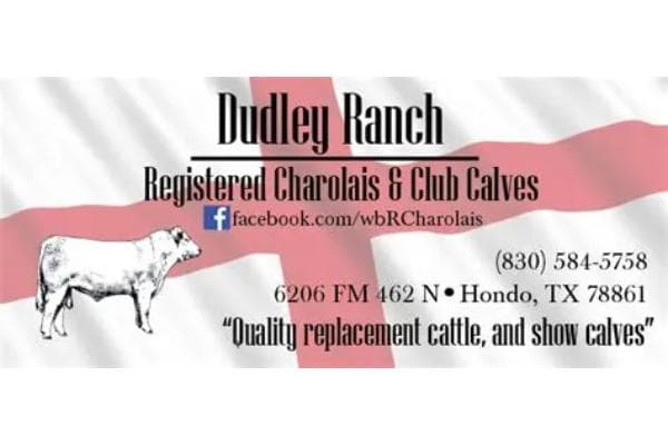 Dudley Ranch- Registered Charolais and Club calves