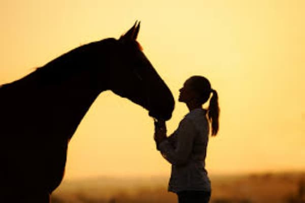 East Texas Veterinary Clinic