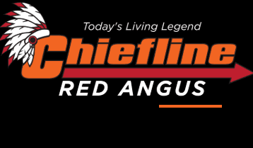 Chiefline Red Angus