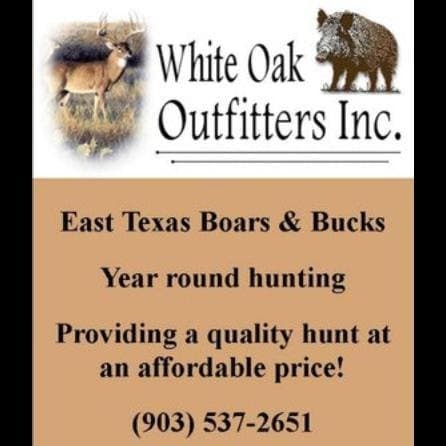 Texas Hog Hunting Outfitters