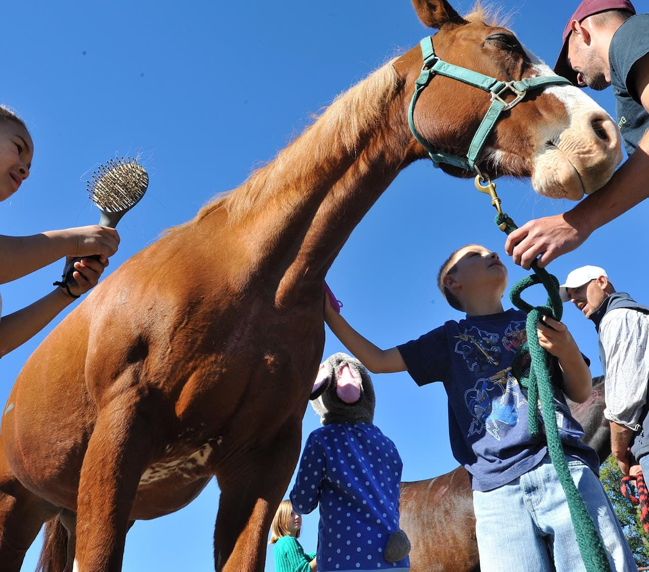 Oak Valley Stables