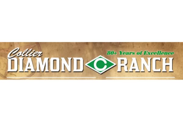 Collier Diamond C Ranch