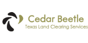 Texas Land Clearing Services - Cedar Beetle