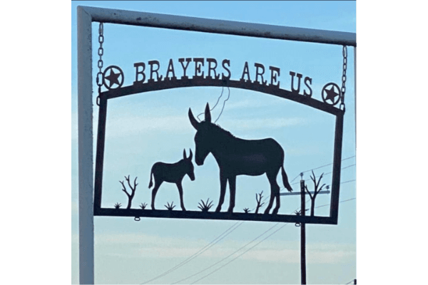 Brayers Are Us Miniatures