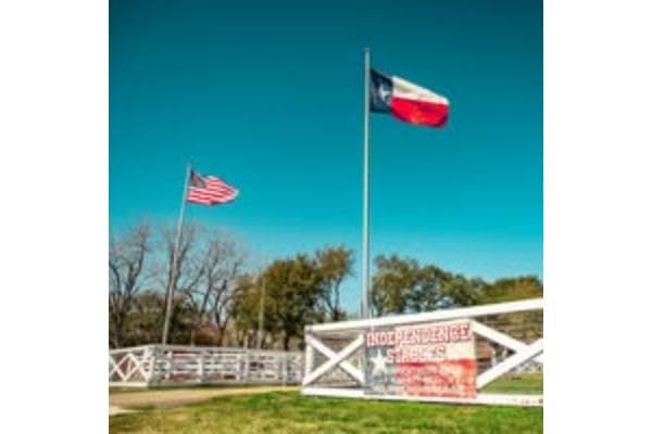 Independence Stables