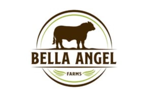 Bella Angel Farms