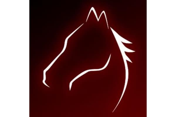 Equine Partners Veterinary Service